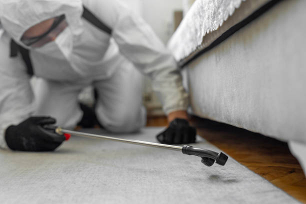Professional Pest Control technician working in Catron County County, NM
